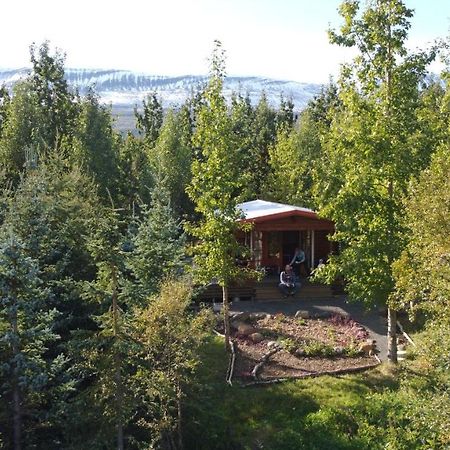 Bakkakot 1 - Cozy Cabins In The Woods Akureyri Bagian luar foto