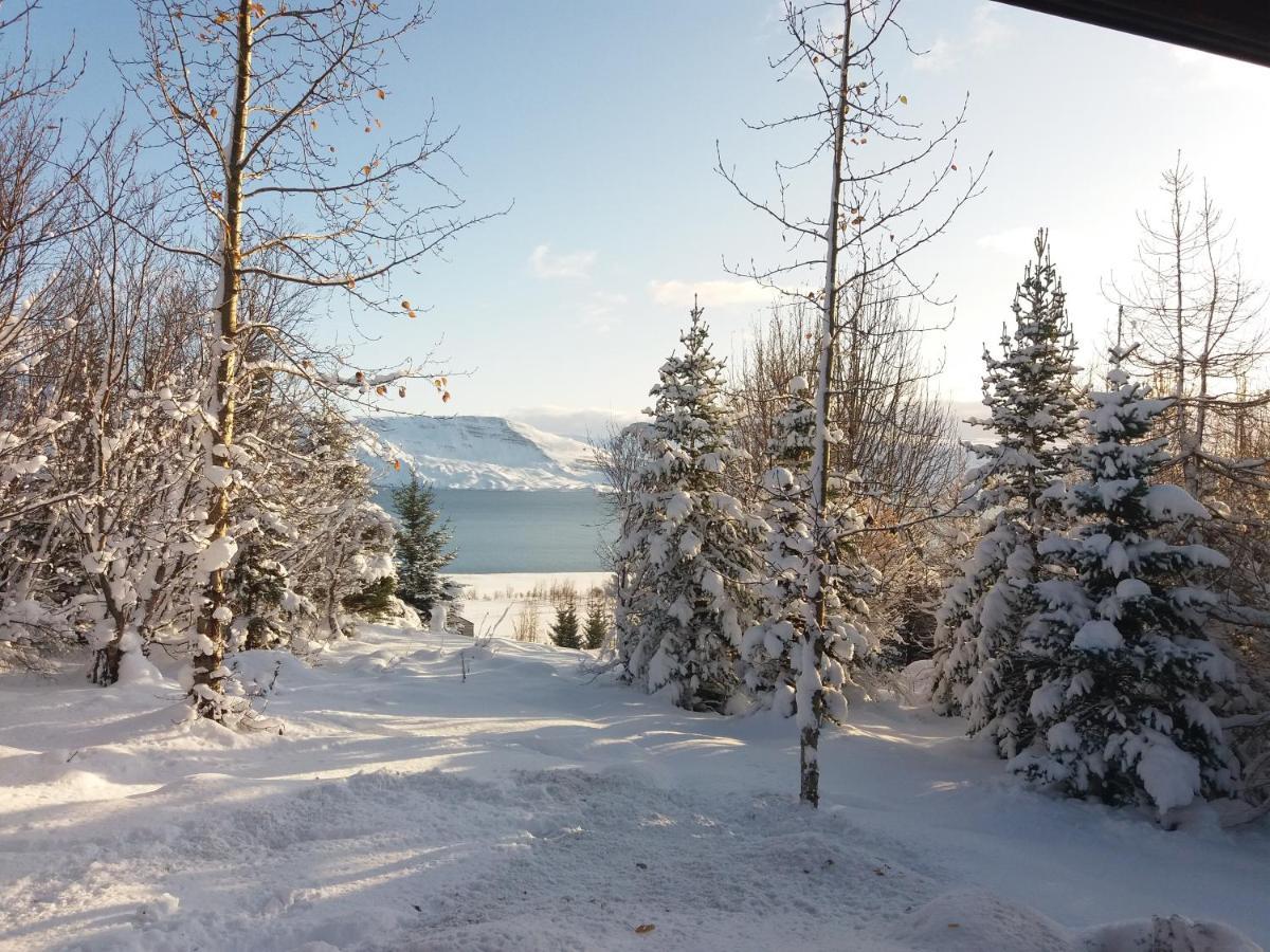 Bakkakot 1 - Cozy Cabins In The Woods Akureyri Bagian luar foto