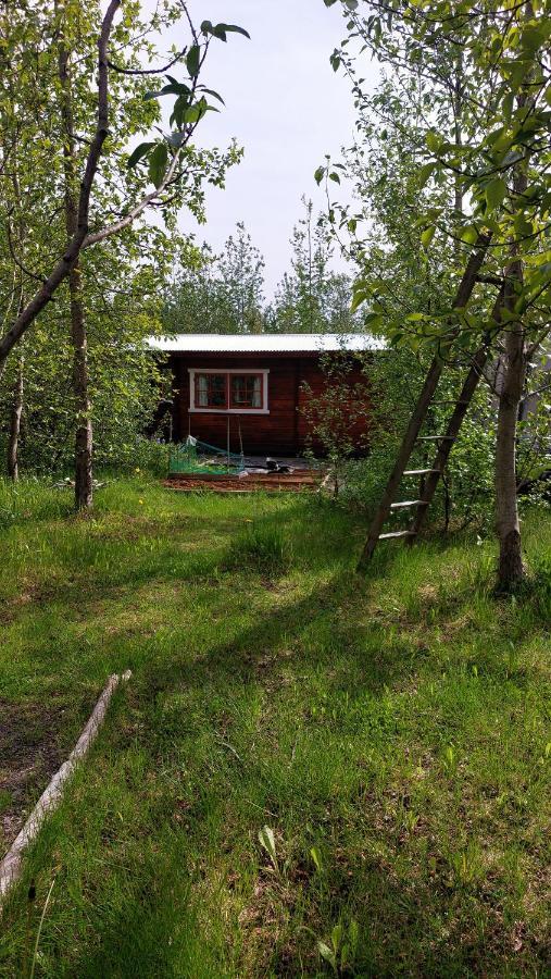 Bakkakot 1 - Cozy Cabins In The Woods Akureyri Bagian luar foto